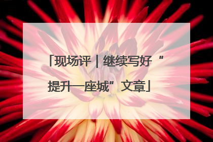 现场评｜继续写好“提升一座城”文章