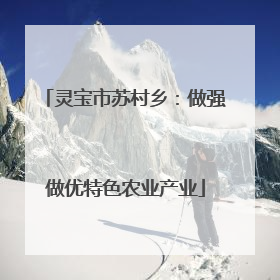 灵宝市苏村乡：做强做优特色农业产业