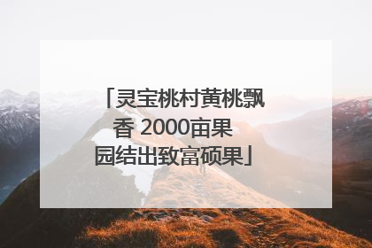 灵宝桃村黄桃飘香 2000亩果园结出致富硕果