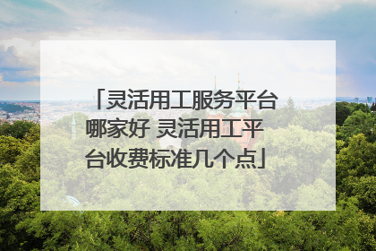 灵活用工服务平台哪家好 灵活用工平台收费标准几个点