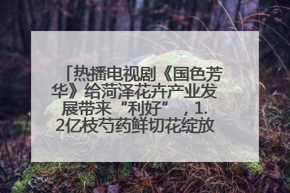热播电视剧《国色芳华》给菏泽花卉产业发展带来“利好”，1.2亿枝芍药鲜切花绽放“国色芳华”