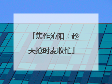 焦作沁阳：趁天抢时麦收忙