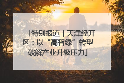 特别报道｜天津经开区：以“高智绿”转型破解产业升级压力