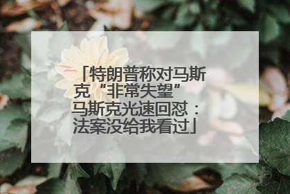 特朗普称对马斯克“非常失望” 马斯克光速回怼：法案没给我看过