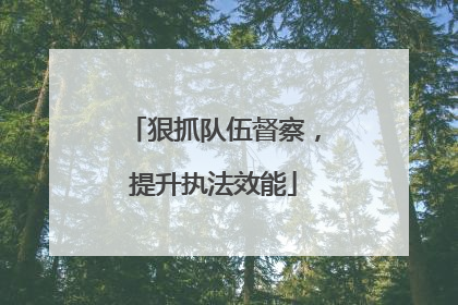 狠抓队伍督察，提升执法效能
