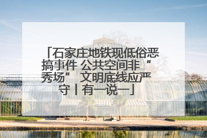 石家庄地铁现低俗恶搞事件 公共空间非“秀场” 文明底线应严守丨有一说一