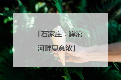 石家庄：滹沱河畔夏意浓