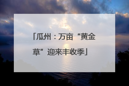 瓜州：万亩“黄金草”迎来丰收季