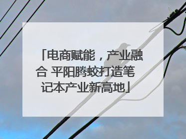 电商赋能，产业融合 平阳腾蛟打造笔记本产业新高地