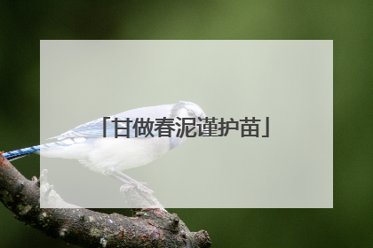 甘做春泥谨护苗