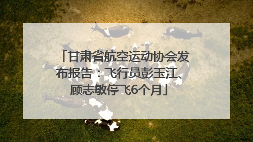 甘肃省航空运动协会发布报告：飞行员彭玉江、顾志敏停飞6个月