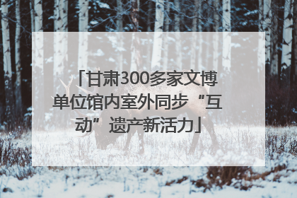 甘肃300多家文博单位馆内室外同步“互动”遗产新活力