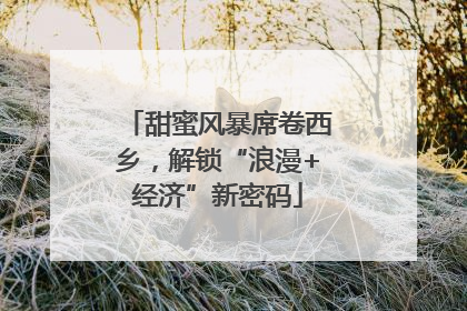 甜蜜风暴席卷西乡，解锁“浪漫+经济”新密码
