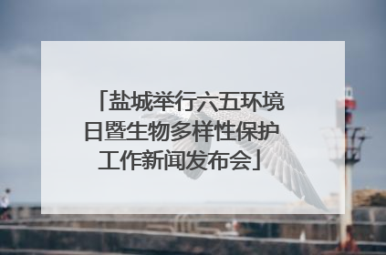 盐城举行六五环境日暨生物多样性保护工作新闻发布会