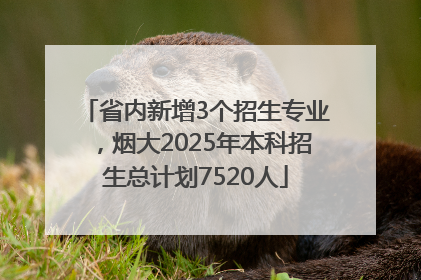 省内新增3个招生专业，烟大2025年本科招生总计划7520人