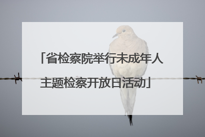 省检察院举行未成年人主题检察开放日活动