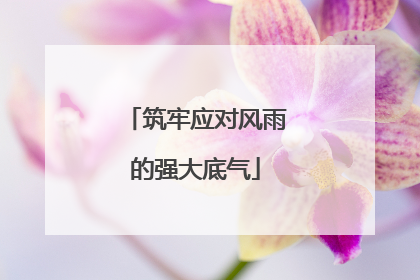 筑牢应对风雨的强大底气