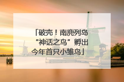 破壳！南麂列岛“神话之鸟”孵出今年首只小雏鸟