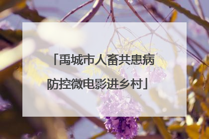禹城市人畜共患病防控微电影进乡村