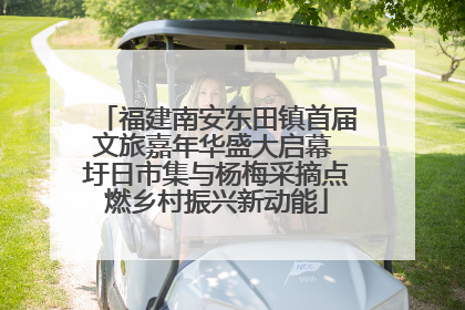 福建南安东田镇首届文旅嘉年华盛大启幕 圩日市集与杨梅采摘点燃乡村振兴新动能