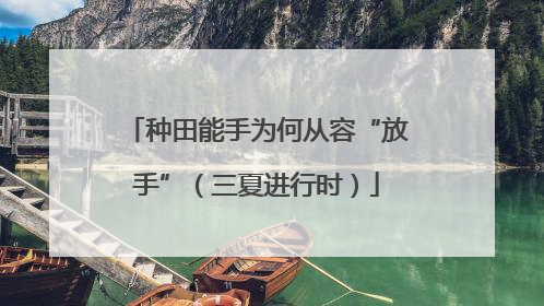 种田能手为何从容“放手”（三夏进行时）