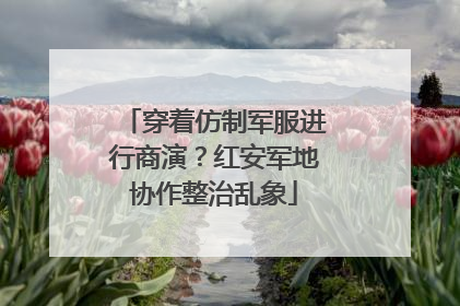 穿着仿制军服进行商演？红安军地协作整治乱象