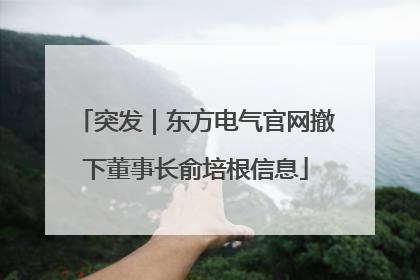 突发｜东方电气官网撤下董事长俞培根信息