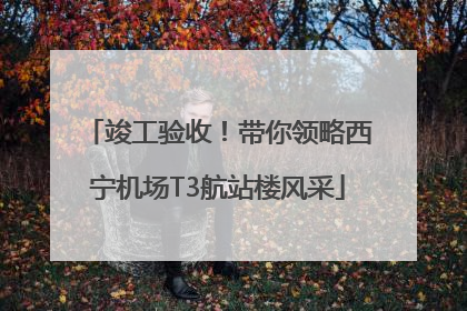 竣工验收！带你领略西宁机场T3航站楼风采