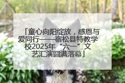 童心向阳绽放，感恩与爱同行——宿松县特教学校2025年“六一”文艺汇演圆满落幕