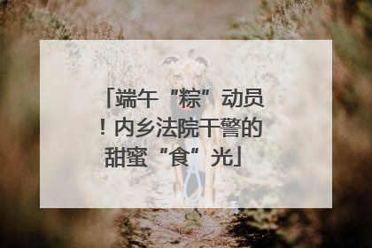 端午“粽”动员！内乡法院干警的甜蜜“食”光