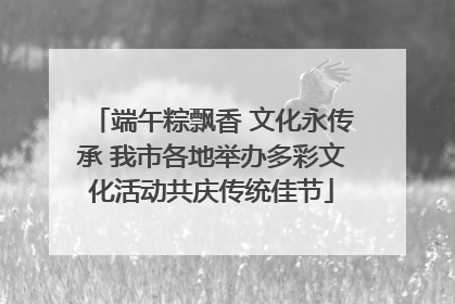 端午粽飘香 文化永传承 我市各地举办多彩文化活动共庆传统佳节