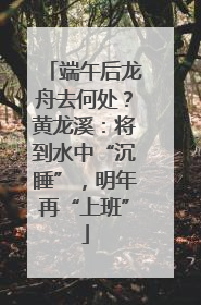 端午后龙舟去何处？黄龙溪：将到水中“沉睡”，明年再“上班”