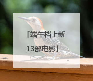 端午档上新13部电影