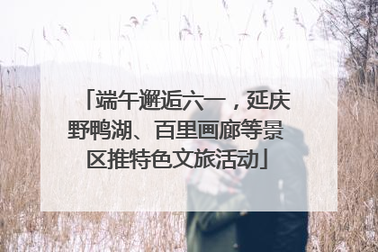 端午邂逅六一，延庆野鸭湖、百里画廊等景区推特色文旅活动
