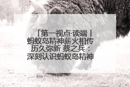 第一视点·读端丨蚂蚁岛精神薪火相传历久弥新 蔡之兵：深刻认识蚂蚁岛精神的“精气神”