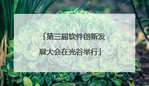 第三届软件创新发展大会在光谷举行