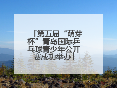 第五届“萌芽杯”青岛国际乒乓球青少年公开赛成功举办