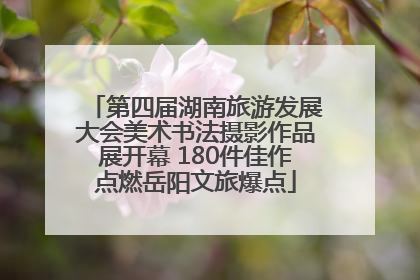 第四届湖南旅游发展大会美术书法摄影作品展开幕 180件佳作点燃岳阳文旅爆点