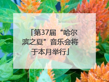 第37届“哈尔滨之夏”音乐会将于本月举行