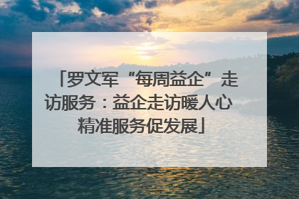 罗文军“每周益企”走访服务：益企走访暖人心 精准服务促发展