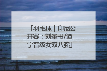 羽毛球｜印尼公开赛：刘圣书/谭宁晋级女双八强