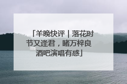 羊晚快评｜落花时节又逢君，睹万梓良酒吧演唱有感