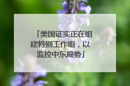 美国证实正在组建特别工作组，以监控中东局势
