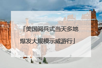 美国阅兵式当天多地爆发大规模示威游行