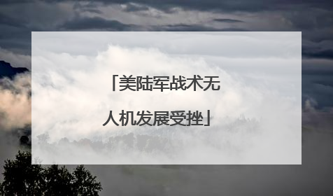 美陆军战术无人机发展受挫