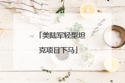 美陆军轻型坦克项目下马