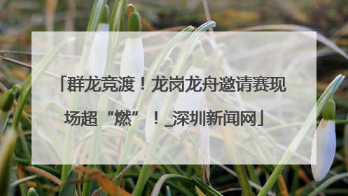 群龙竞渡！龙岗龙舟邀请赛现场超“燃”！_深圳新闻网