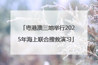 粤港澳三地举行2025年海上联合搜救演习