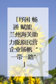 纾困 畅通 赋能 兰州海关助力陇原民营企业扬帆“一带一路”