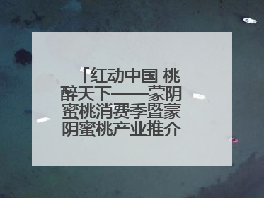 红动中国 桃醉天下——蒙阴蜜桃消费季暨蒙阴蜜桃产业推介会成功举办